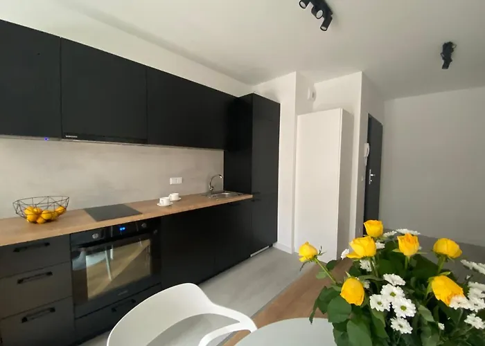 Fuzja - Komfortowe Mieszkania Blisko Centrum Lodzi Garaz * Łódź